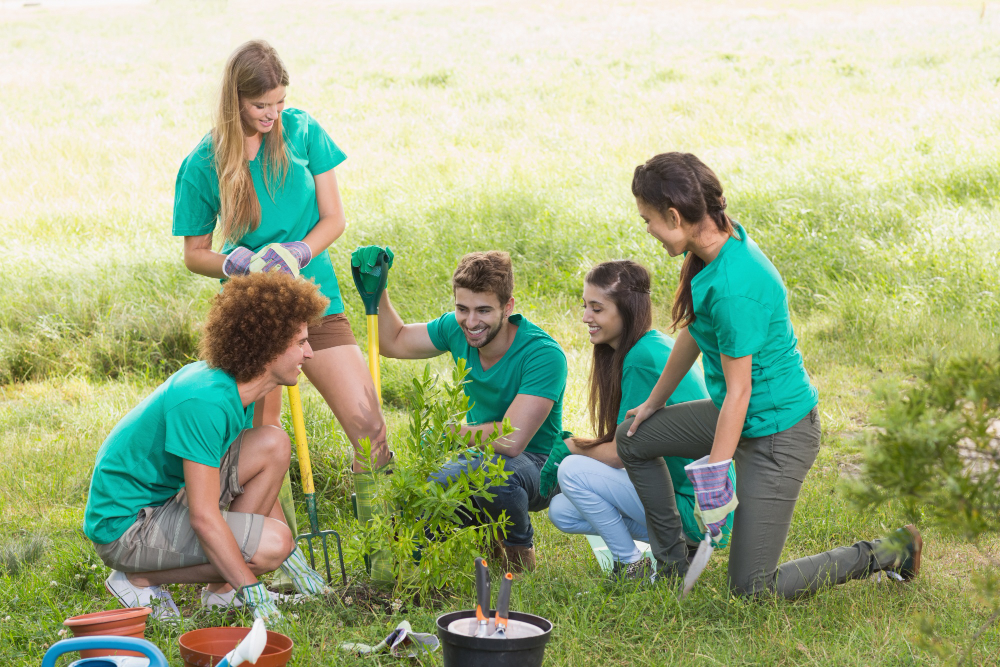 Restore Vital Habitat at East Sammamish Park: Join Us in Helping to Preserve Our Natural Spaces!