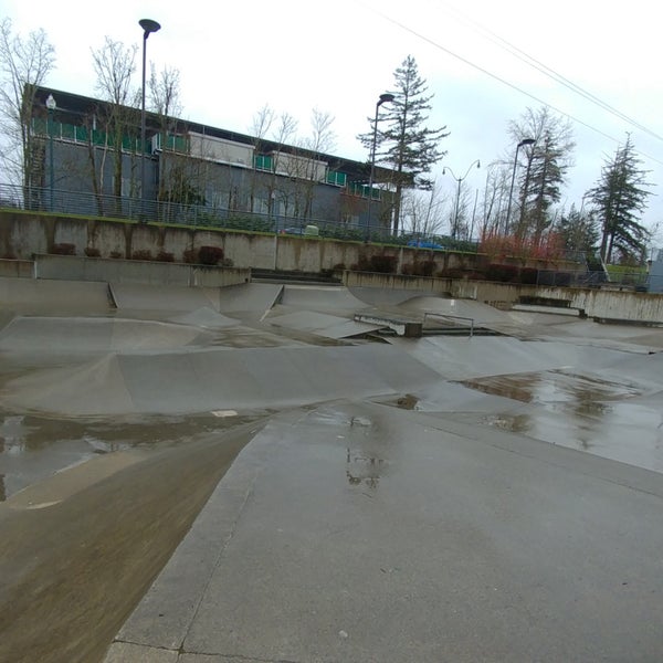 Sammamish Skatepark: Unleashing the Thrills and Skills of Skateboarding Enthusiasts