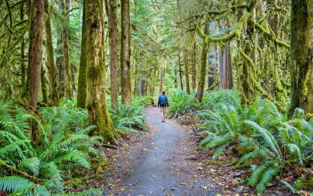 Sammamish: Where Tranquility Meets Adventure in the Pacific Northwest