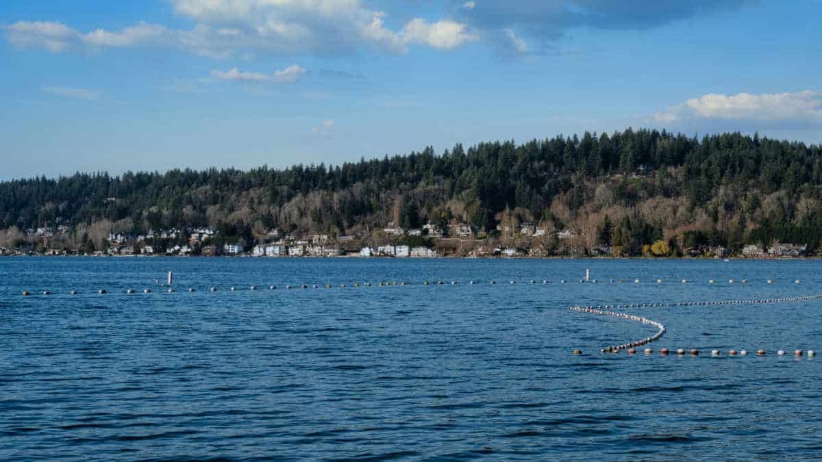 Lake Sammamish: The serene backdrop to the city's charm.