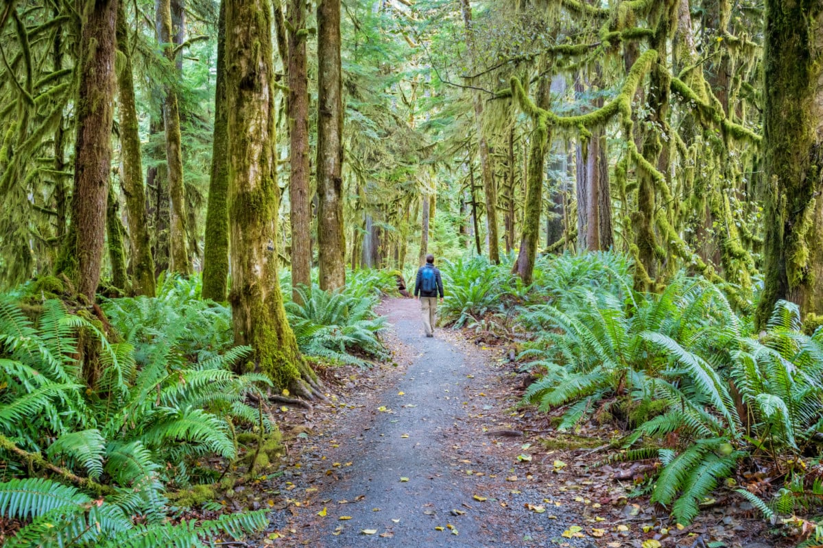 Sammamish: Where natural beauty meets boundless outdoor adventure.