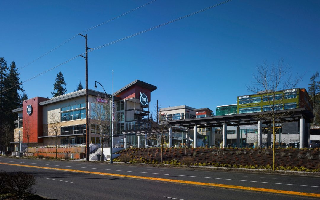 Metro Flex in Sammamish: On-Demand Transit Redefined