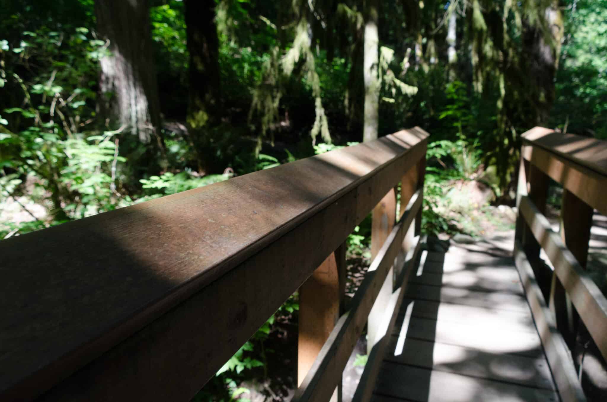 The charming bridge at Evans Creek Preserve, a must-visit for hikers.