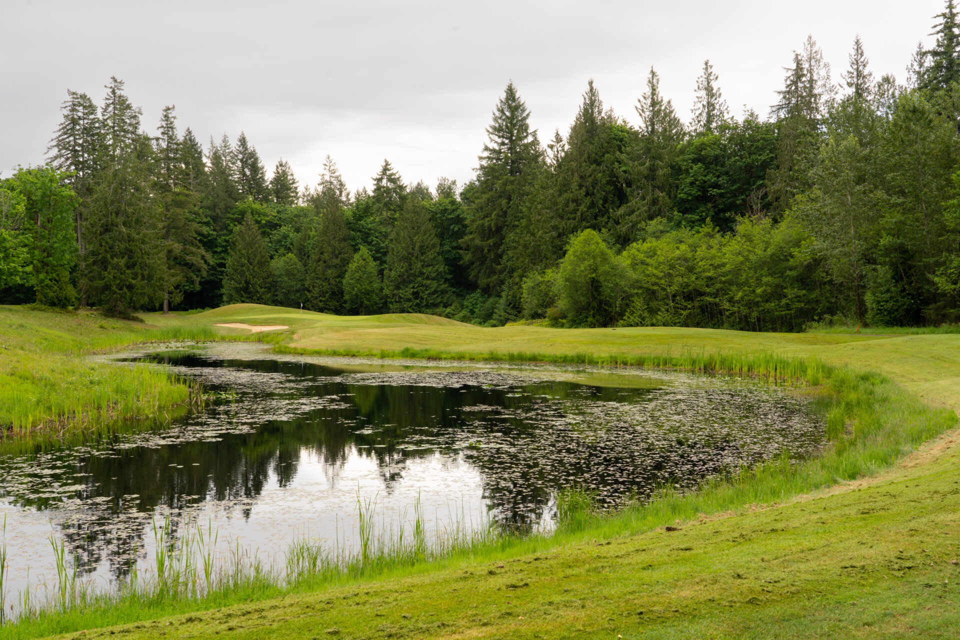 Aldarra Golf Club: Exclusive Terrains with Breathtaking Vistas.