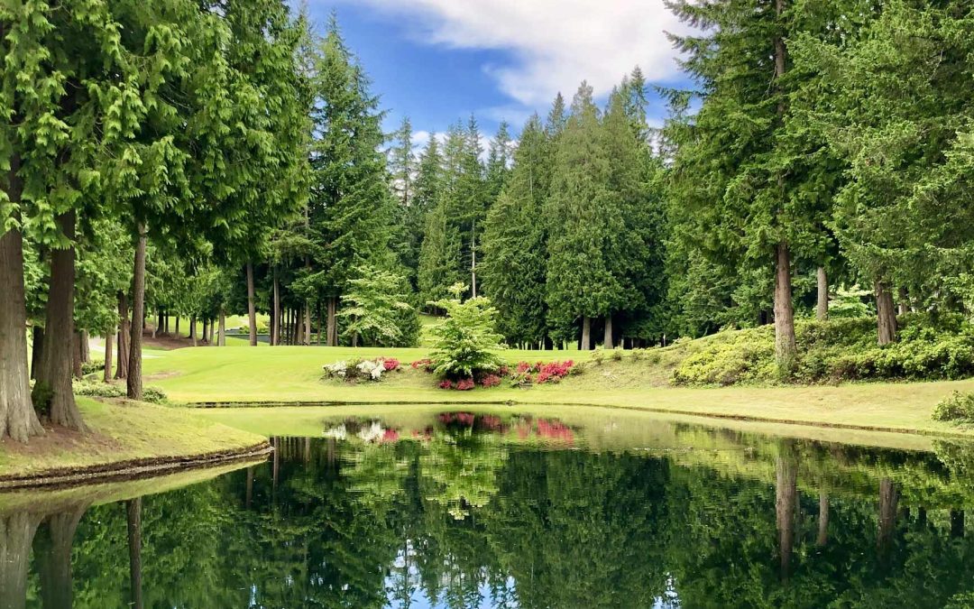 Tee Off in Tranquility: Exploring Sammamish’s Premier Golf Courses