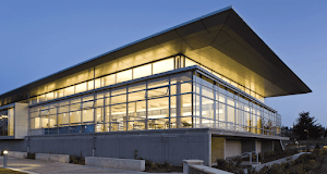 Discover the Charm of Sammamish Library This Fall