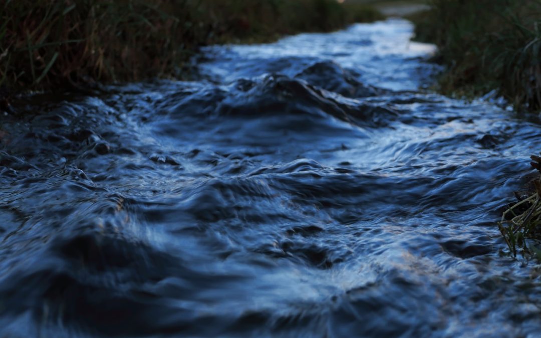 Exploring the Sammamish River Trail: From Urban Landscapes to Nature’s Beauty