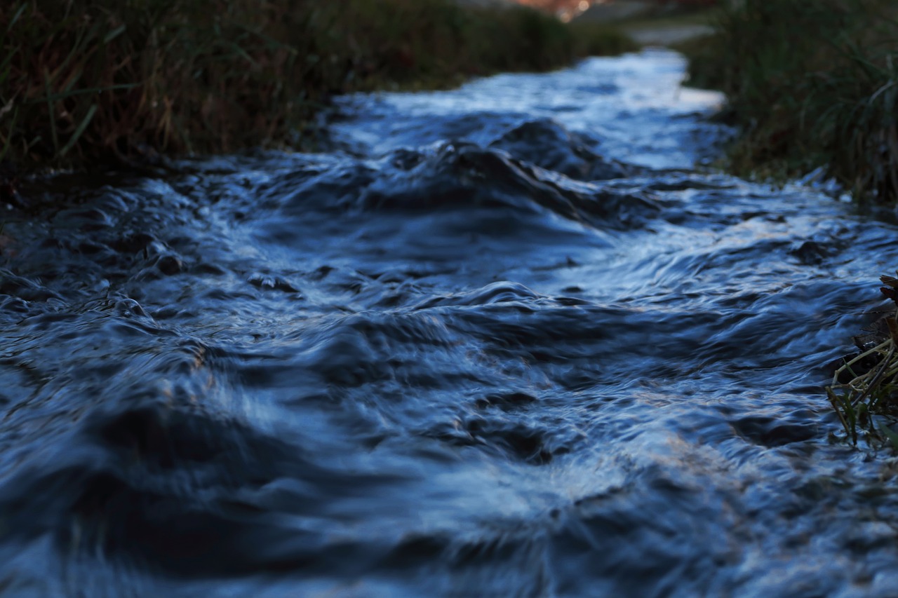 Exploring the Sammamish River Trail: From Urban Landscapes to Nature's Beauty