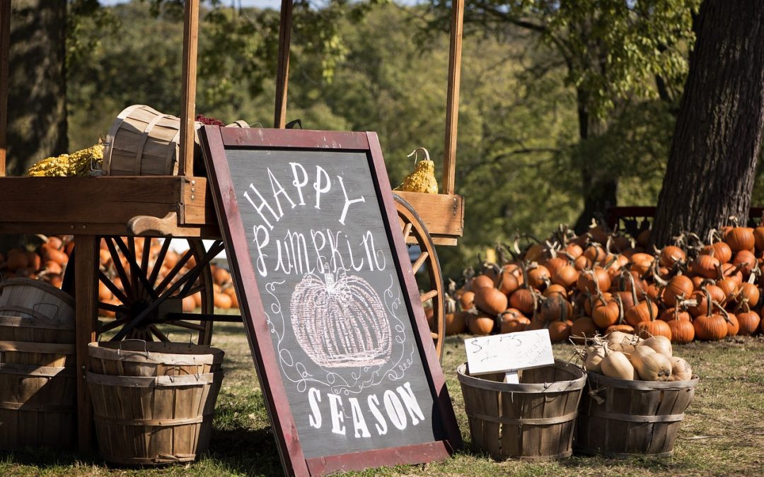 Tricks, Treats, and Farmyard Beats: Your Ultimate Halloween Event Guide