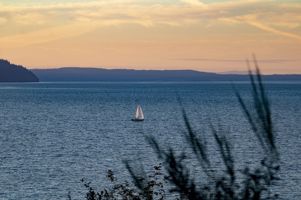 Sammamish seascape