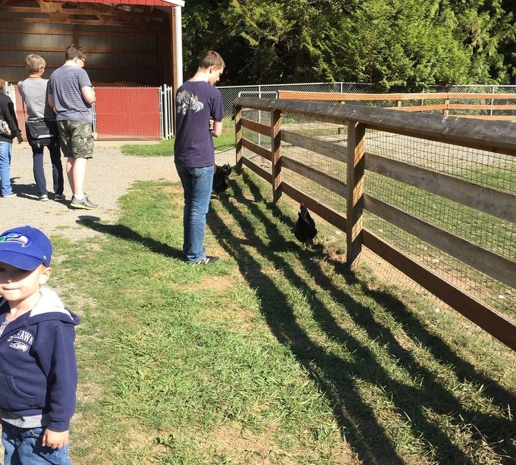 Farm-tastic Adventures Await at Farrel-McWhirter Park!