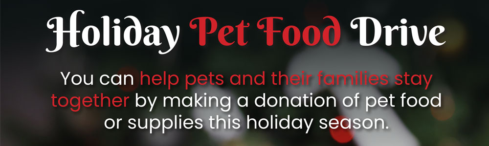 Spread Kindness This Holiday Season With Sammamish’s Pet Food Drive